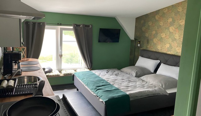Room 'Micro Apartment Wald' with Lake View, Terrace and Wi-Fi