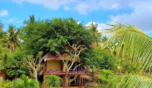 Room on the Real Tree