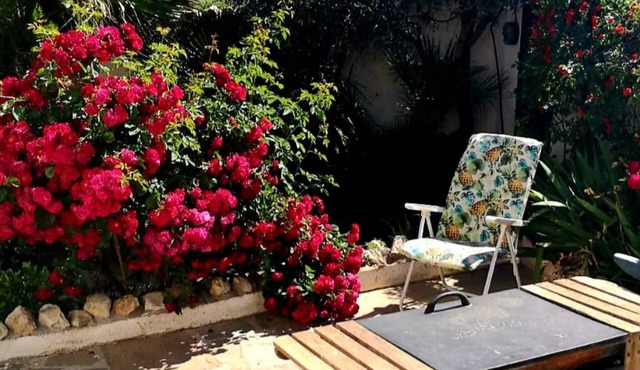 Room-peaceful Private Garden Studio for