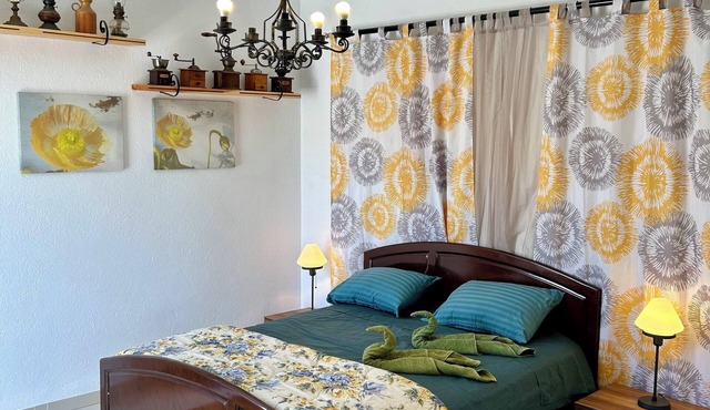 Room Sidi bou Said