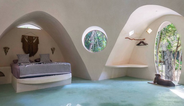 Room-unique Jungle Dome 2 Queen Beds