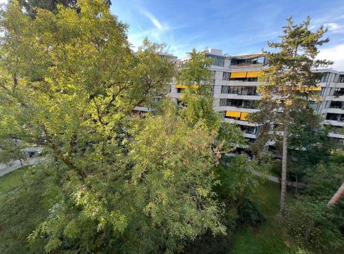 Room with a View
