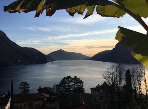 Room with a view