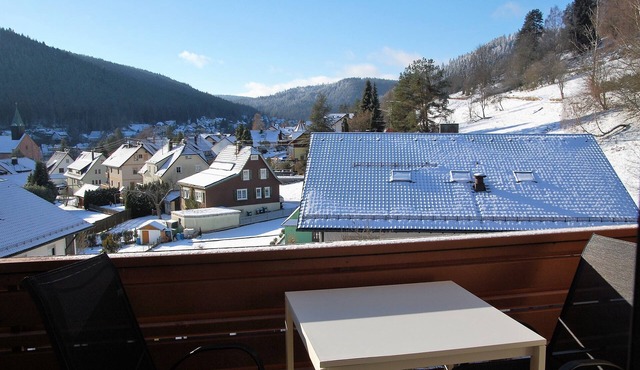 Room with a view