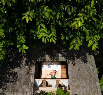 Roots Tree House