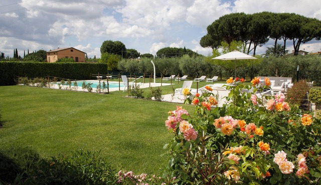 Rosa di Assisi