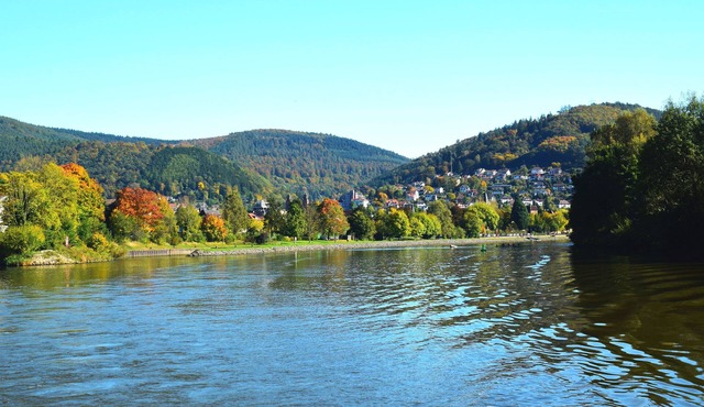 ROSENTURMBLICK - centrally located, furnished apartment for temporary rental