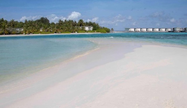 Rosy Villa