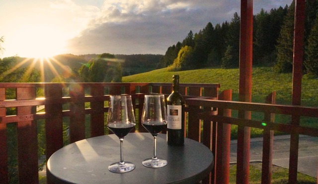 Rothirsch Schluchsee vacation apartment: perfect for families and active people