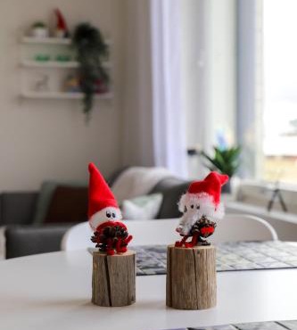 Rovaniemi Downtown Apartment