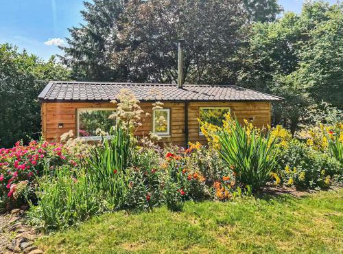 Rowan Tree Lodge - Ukc6977