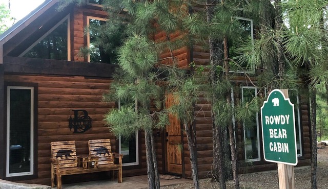 Rowdy Bear Cabin-Fort PlaySet-Fishing Pond-Arcade-Foosball-XBox-Gas Grill-Hottub