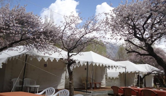 Royal Deluxe Camp