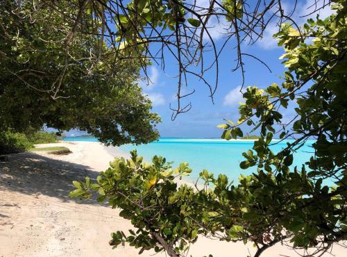 Royal Reef Stay