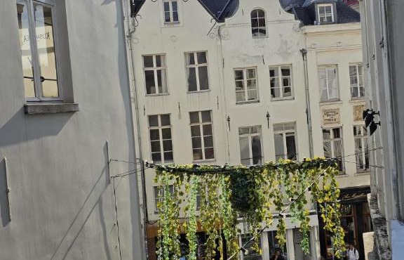 Royal sleeping Brussels