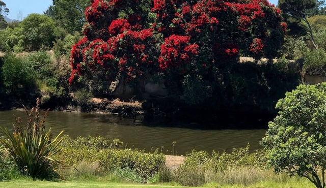 Ruakaka River and Beach Apartment