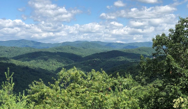Ruffinit at Buck Mountain-Breathtaking Views, Large Deck w/SIP, Wifi!