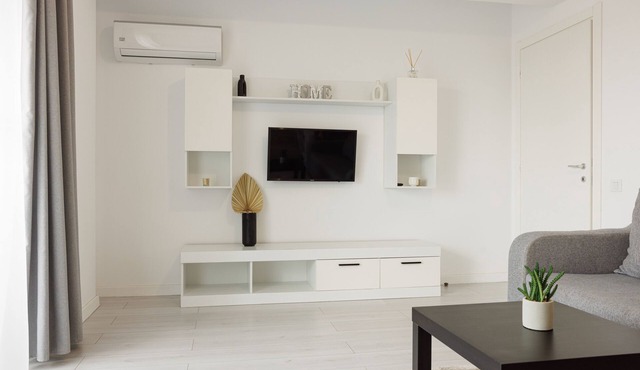 Runcu Apartament