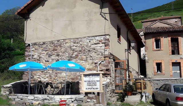 Rural Apartment 'Entreladeras 1' in Busdongo with Mountain Views