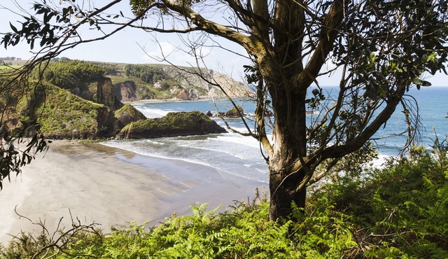 Ruralsurf - Hostel