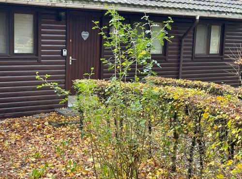 Rust en natuur in het hart van de Ardennen