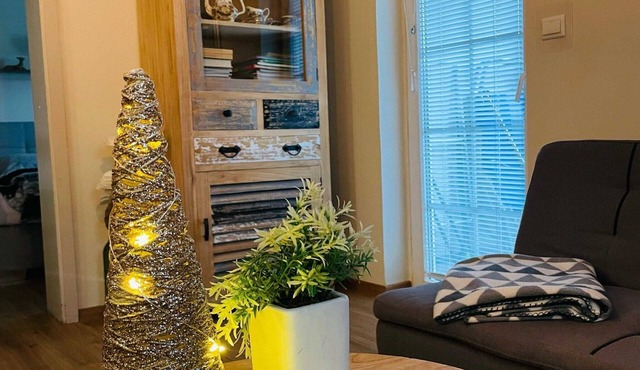 Rustic and Radiant Retreat Apartments with Terrace - Classic One Bedroom Apartment with Terrace