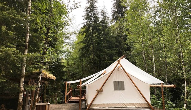 Rustic and Spacious Safari Tent in Forks, Washington, Perfect for a Glamping Getaway to the Pacific Northwest
