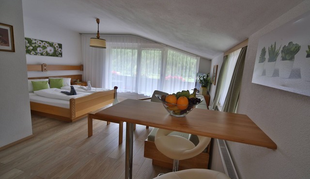 Rustic apartment in the Dolomites