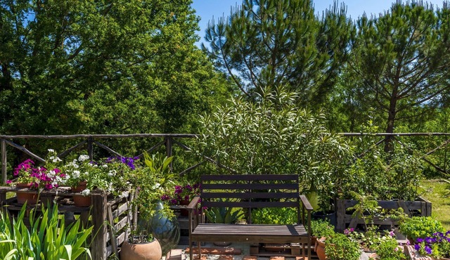 Rustic apartment for 4 people in the heart of the Tuscan countryside, garden with olive trees and sw