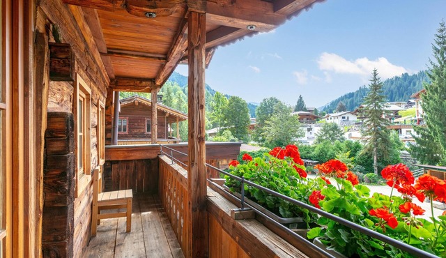 Rustic apartment, only 100m to the ski bus