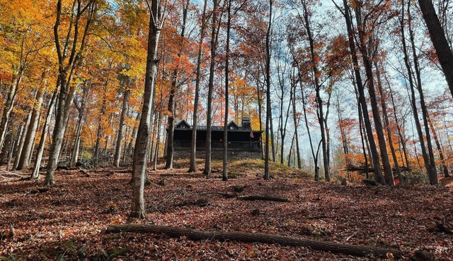 Rustic Appalachian cabin, 6+ acres, creek, 5 min from Dahlonega & wineries