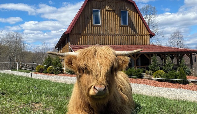 Rustic Barn Cabin on Highland Cow Farm: Hiking Trails, Hot Tub and Pool Table