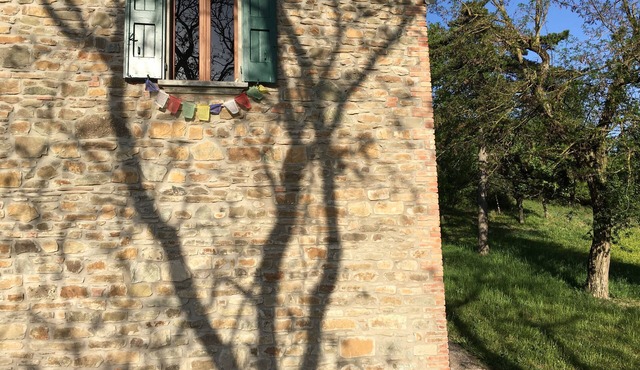 Rustic between oaks and tamarisks, in the Valle Del Sillaro.