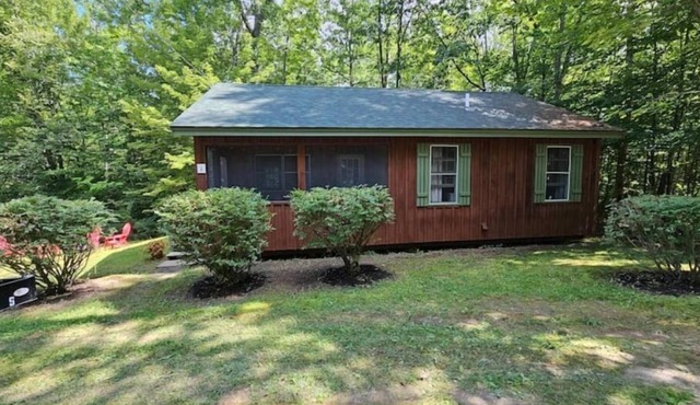 Rustic Cabin in the Woods YellowBirch 1