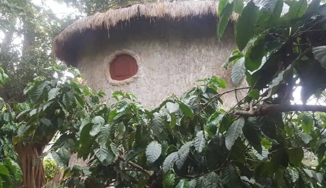 Rustic Charm Wayanad - The Roots (Treetop Suite)