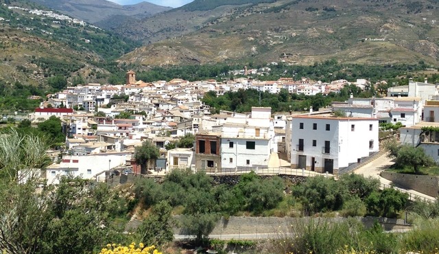 Rustic country home - Cadiar, Alpujarras - Pet Friendly!