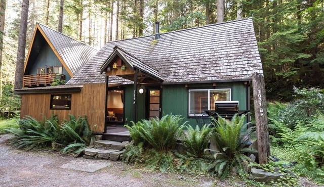 Rustic Glacier Cabin-EV charger, Hot Tub & BBQ