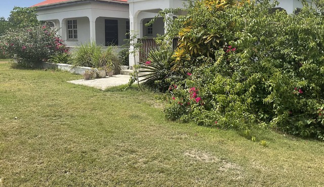 Rustic house on lush large land of fruit trees. 15 mins English Harbor