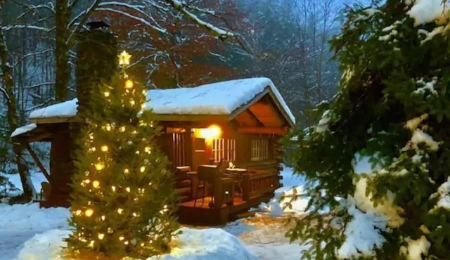 Rustic Log Cabin #5 - "Escape"
