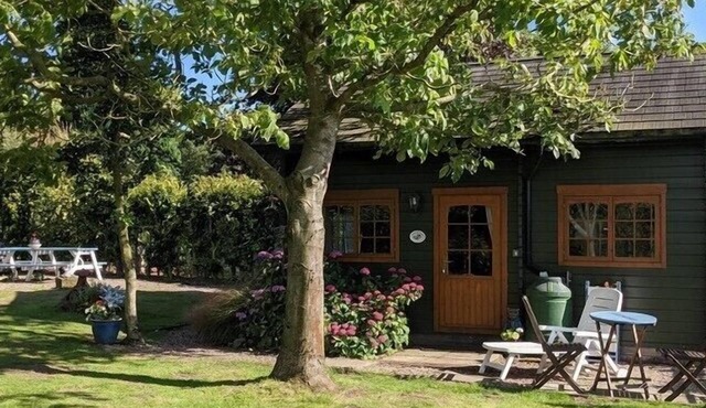 Rustic Log Cabin - Dog Friendly - Sleeps 2 - Views