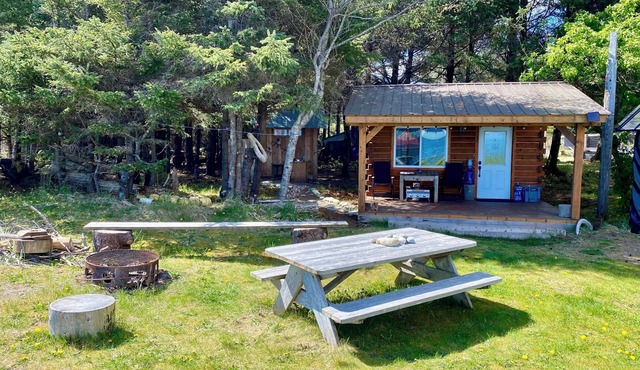 Rustic Ocean Front Tiny Cabin in the quiet farming town of Haida Gwaii