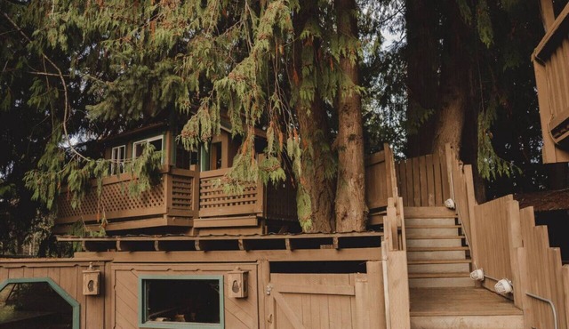 Rustic TreeHaus Cabin - Saltwater Hot Tub & Sauna Hideaway