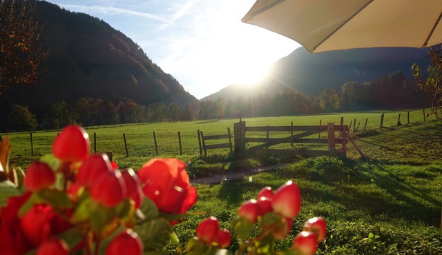 Rustic vacation apartment at home, rural - quiet location with fully equipped kitchen