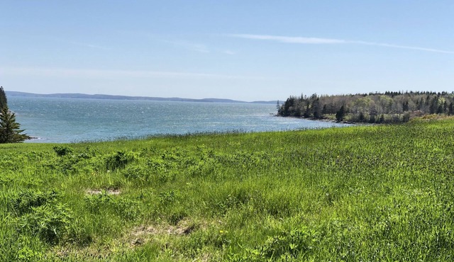 Rustic vintage cottage in Duck Cove with limited ocean view.