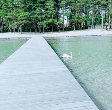 RYMLIG RENOVERAD GÄSTBOSTAD med egen ingång nära stranden i HÄLLEVIK