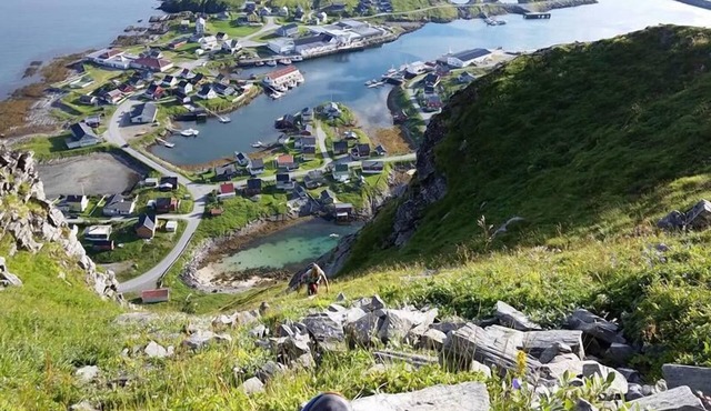 Sørøya Havfiskecruise AS - Elfridastuat