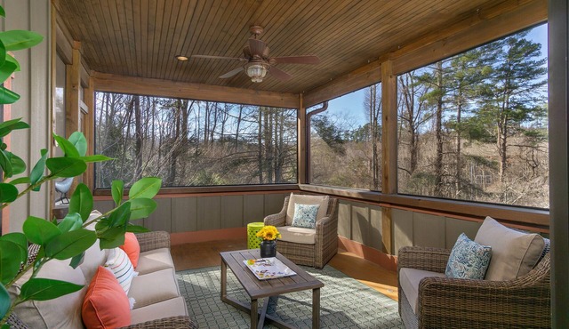 S AVL, hot tub, 3x Kings, close to Biltmore