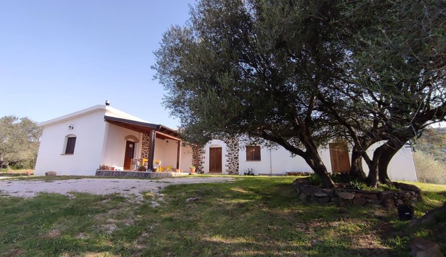Sa Carruba - Typical rural house surrounded by greenery with panoramic views