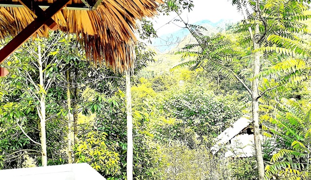Sa House Bac Ha