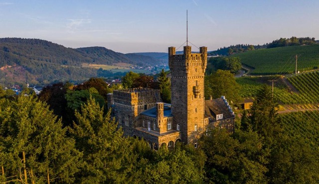 Saar Castle - cozy Mansion near vineyard